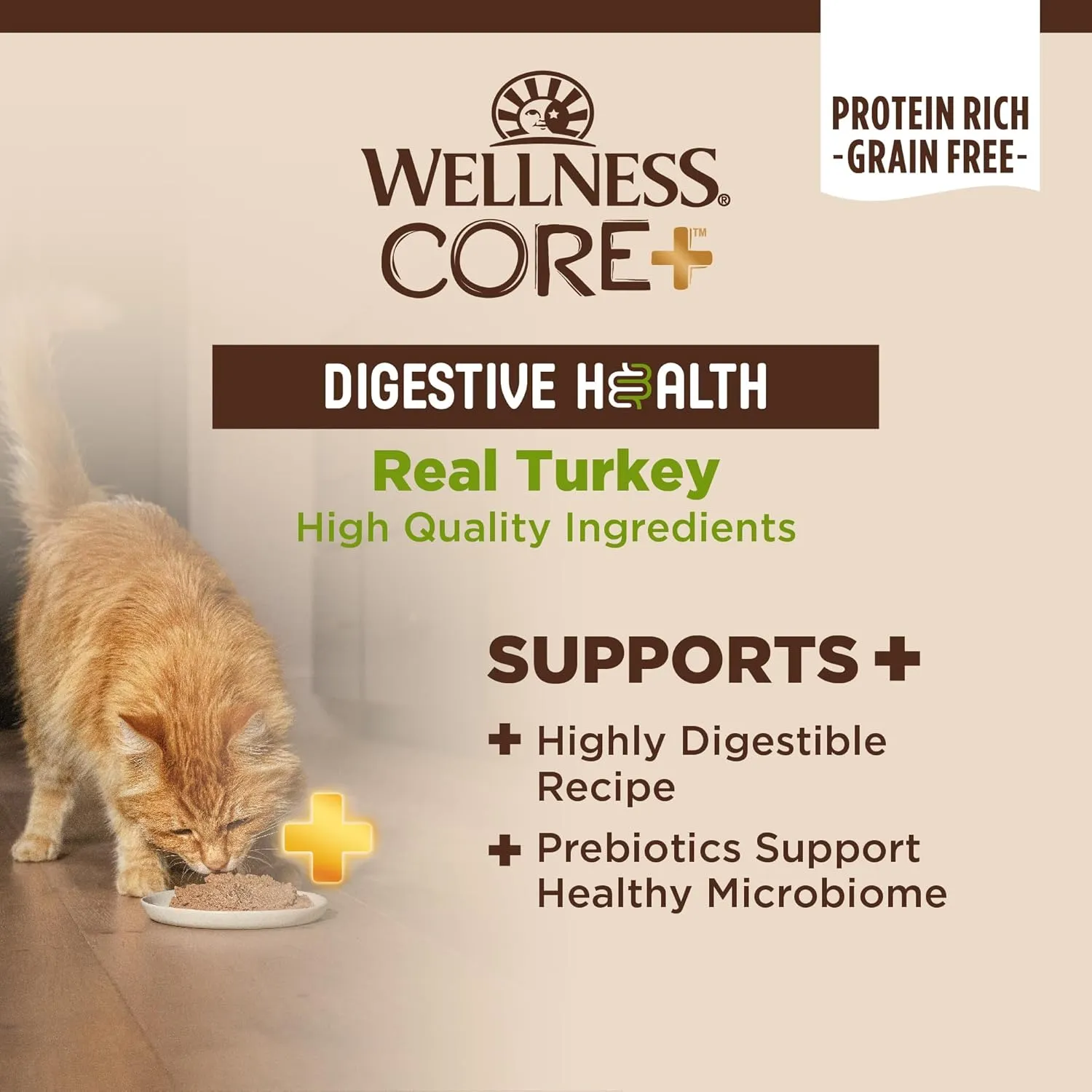 Wellness CORE  Digestive Health Pate Adult Wet Cat Food, Natural, Protein-Rich, Grain Free, 3 Ounce, 12 Pack (Turkey)