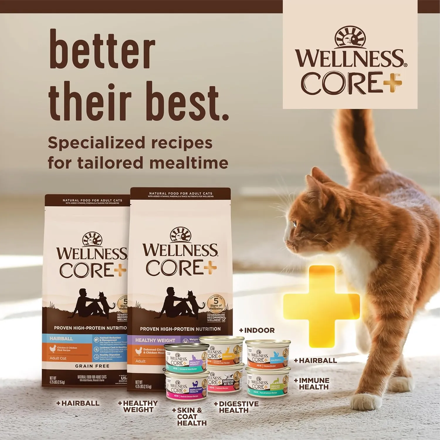 Wellness CORE  Digestive Health Pate Adult Wet Cat Food, Natural, Protein-Rich, Grain Free, 3 Ounce, 12 Pack (Turkey)