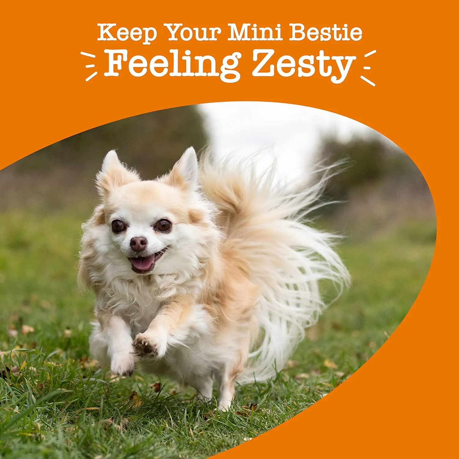 Zesty Paws Dog Multivitamin, Chewable Dog Vitamins and Supplements for Hip & Joints, Skin & Coat, Omega 3 Fish Oil for Dogs- Senior & Puppy Multivitamin - Chicken Mini Bites- 90ct