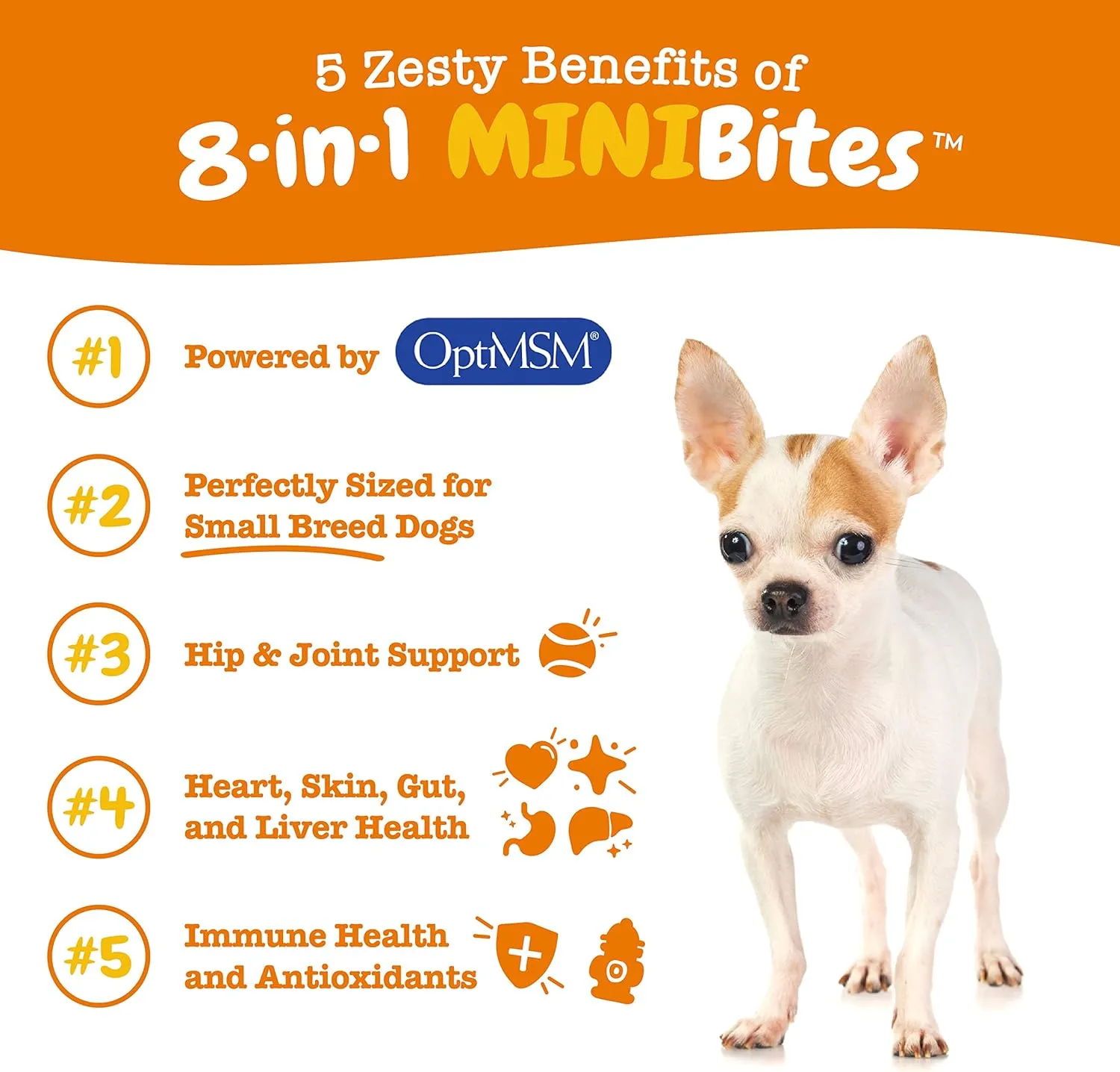 Zesty Paws Dog Multivitamin, Chewable Dog Vitamins and Supplements for Hip & Joints, Skin & Coat, Omega 3 Fish Oil for Dogs- Senior & Puppy Multivitamin - Chicken Mini Bites- 90ct